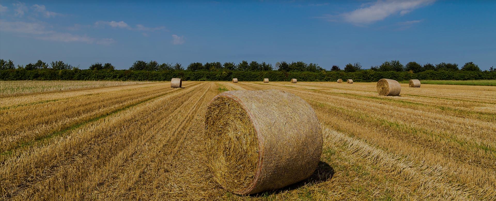 KSI Supply Bale Net